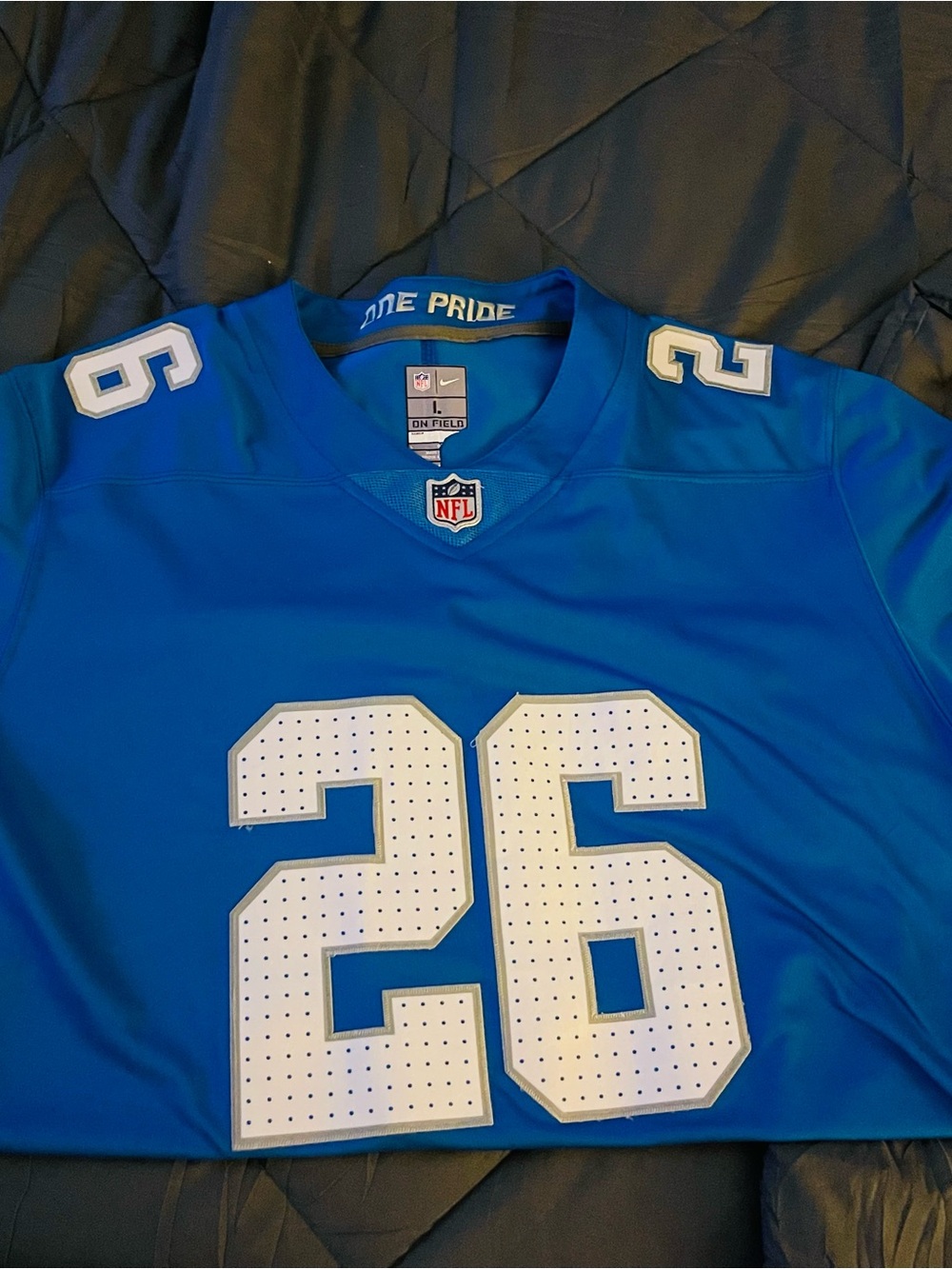 NFL One Pride Nike Blue #26 Gibbs Football Jersey